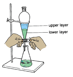 E28 Extraction Of Organic Compounds